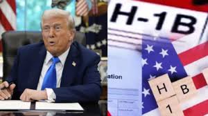 h1 b visas