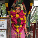 Pandi board