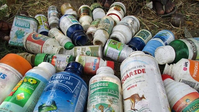 Banned Pesticides Still Being Used in India.
