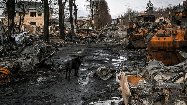 destroyed russian armoured vehicle 