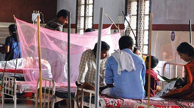 கேரளாவில் பரவும் பன்றி காய்ச்சல்